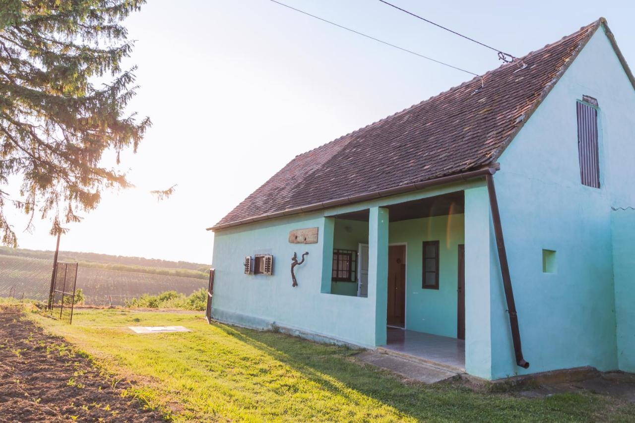Village Wine House Mandicevac Extérieur photo