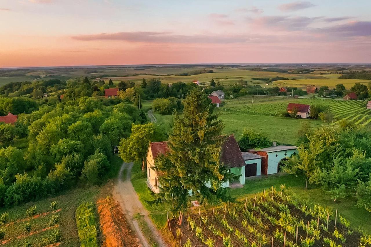 Village Wine House Mandicevac Extérieur photo